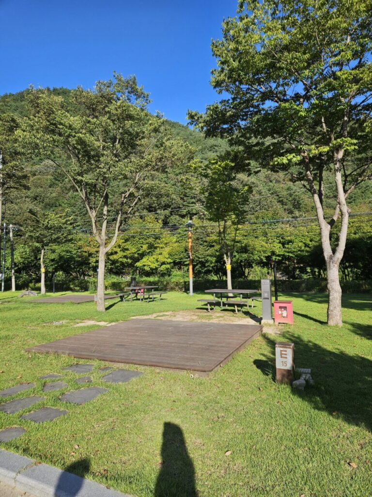 대전 상소 오토캠핑장의 푸른 잔디밭 위에 나무데크 캠핑 사이트와 피크닉 테이블이 마련되어 있고, 울창한 숲과 산이 배경을 이루는 평화로운 캠핑장 풍경