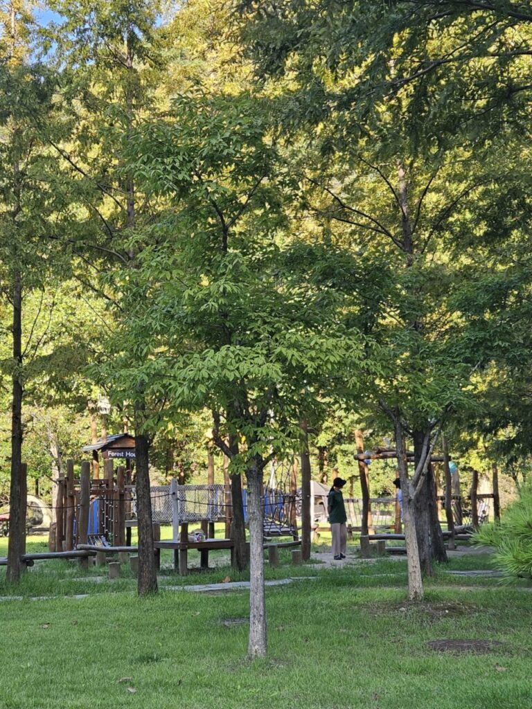 대전 상소동 산림욕장 숲속 어린이 놀이터의 푸른 잔디밭과 나무로 만들어진 놀이기구들. 멀리 보이는 'Forest House' 표지판과 놀이터에서 시간을 보내는 몇몇 어른들의 모습이 보인다.