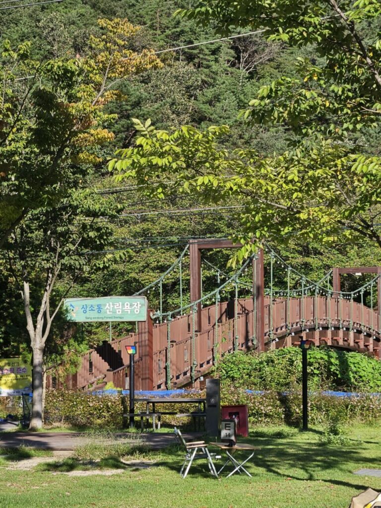 울창한 숲을 배경으로 상소동 산림욕장 표지판과 나무로 만들어진 현수교가 보이는 풍경. 햇살이 비추는 잔디밭에는 작은 야외 테이블과 접이식 의자가 놓여 있어 편안한 휴식을 제안한다.
