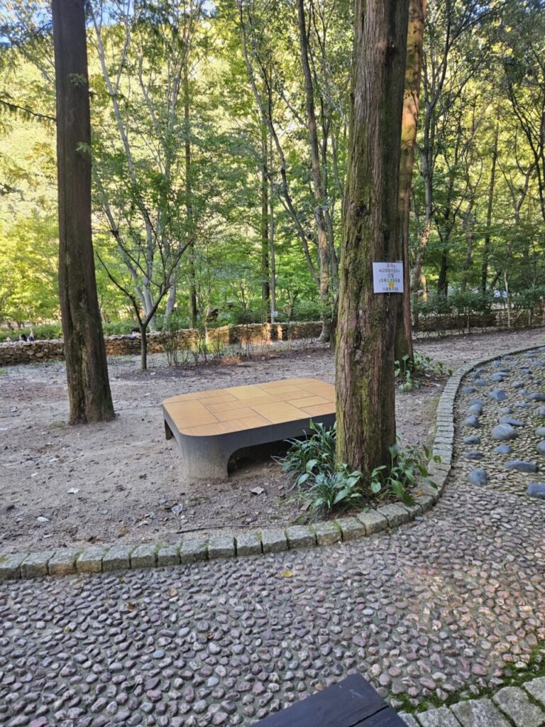 대전 상소동 산림욕장의 울창한 숲 속에 놓인 현대적인 디자인의 벤치와 조약돌 산책로. 자연 속에서 휴식을 취하기 좋은 평화로운 풍경.