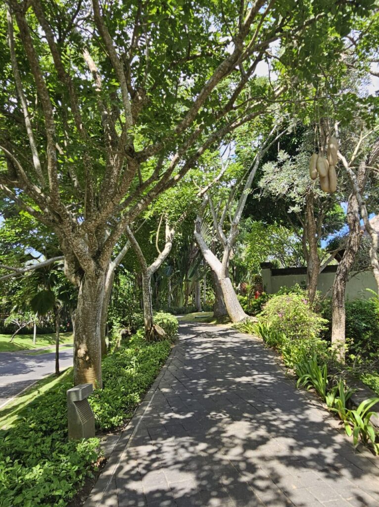 발리 아야나 리조트 내부의 나무가 우거진 그늘진 산책로. 햇빛이 나뭇잎 사이로 비쳐들어 아름다운 그림자를 만들고 있다.