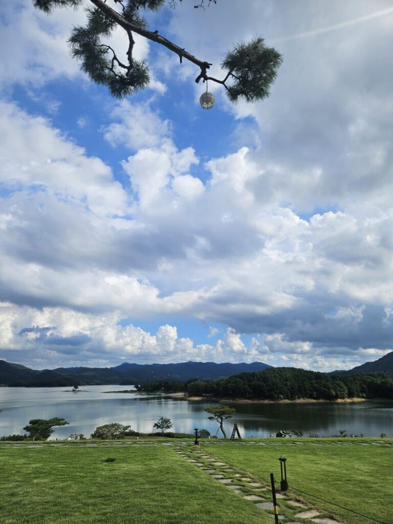 구름 낀 하늘 아래 대청호수가 넓게 펼쳐져 있고, 소나무 가지가 프레임 상단에 드리워진 풍경.