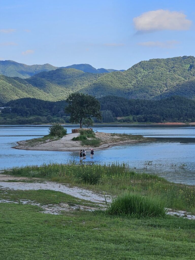 대청호의 푸른 물 위에 떠 있는 작은 섬과 그 위에 우뚝 솟은 나무, 그리고 홀로섬 주변에서 물놀이하는 사람들.