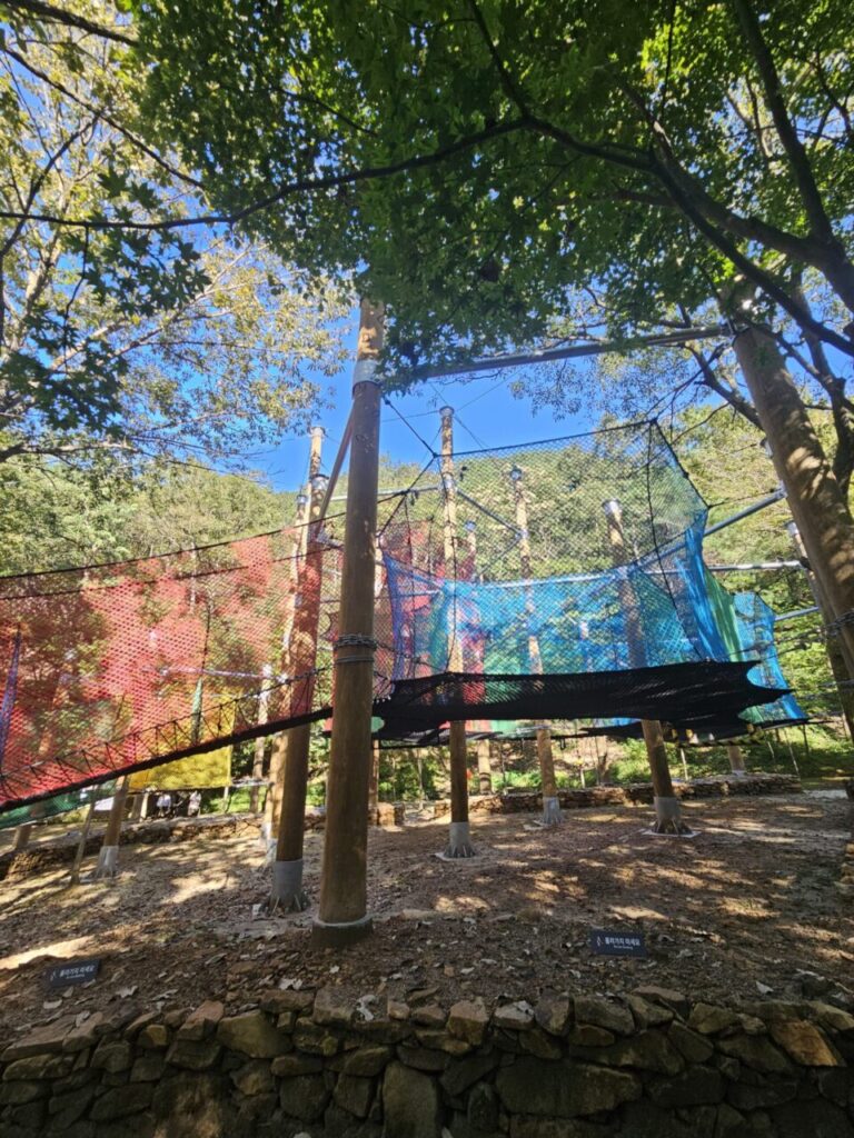 대전 상소동 산림욕장의 푸른 숲 속에 설치된 알록달록한 그물 놀이터. 나무 기둥과 빨강, 파랑, 검정 등 여러 색상의 그물이 어우러져 아이들이 즐겁게 뛰어놀 수 있는 자연 친화적인 공간을 보여줍니다.