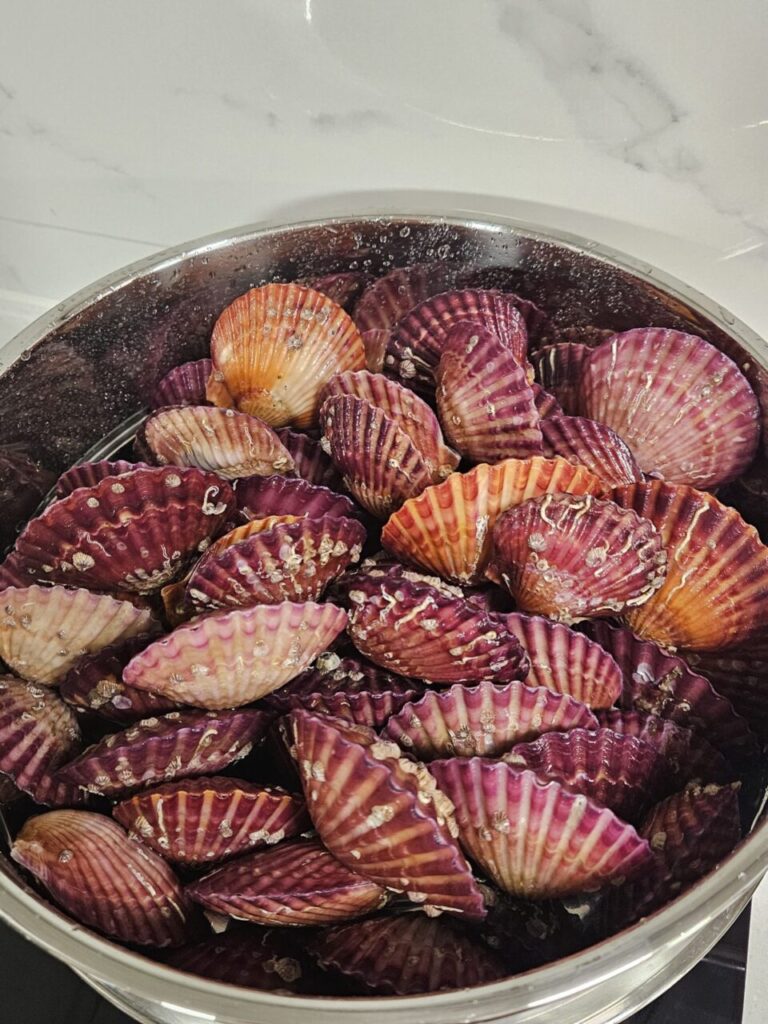 솥 안에 담겨 있는 보라색과 주황색이 어우러진 신선한 가리비들입니다. 깨끗하게 손질되어 찜 요리를 기다리는 듯한 모습입니다.