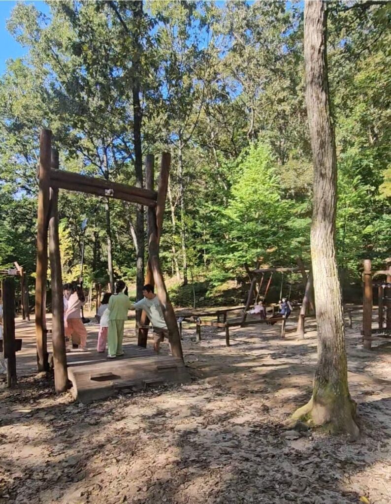 햇살 좋은 숲속에 위치한 상소동 산림욕장 놀이터에서 사람들이 나무 구조물 위에서 함께 시간을 보내고 있습니다. 뒤편에는 다른 놀이기구들도 보입니다.