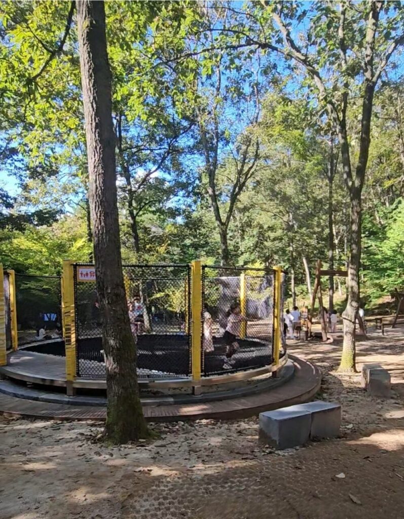 대전 상소동 산림욕장 숲속 어린이놀이터에 설치된 원형 트램폴린 시설에서 아이들이 신나게 뛰어노는 모습