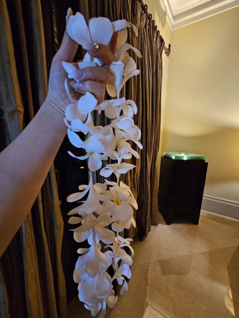 하얀색 플루메리아 꽃으로 만든 긴 화환을 들고 있는 손입니다. 신선하고 향기로운 발리의 꽃 장식을 돋보이게 합니다.