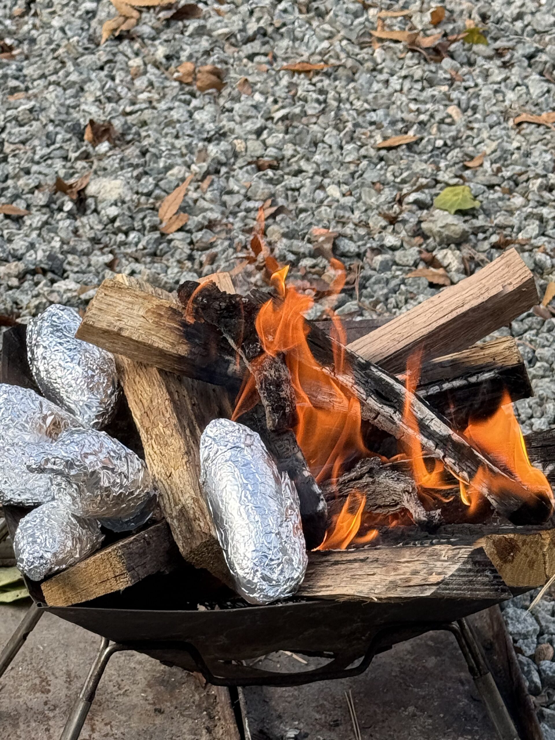 [충남] 대전 근교 가볼만한곳 추천 | 신원사 단풍🍁·1박2일 촬영지·계룡산 사계절캠핑장🐱