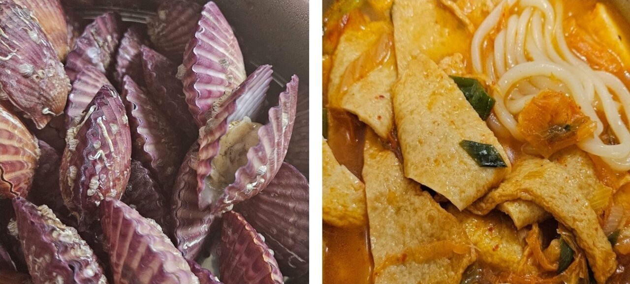 [하루식사] 11월 코스트코 추천템 | 맛있는 가리비찜·가리비 고르는 법✌️·삼진 김치어묵우동 할인